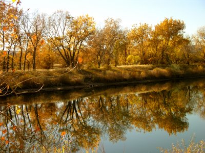 Autumn Reflection