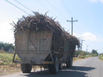 Sugarcane Truck