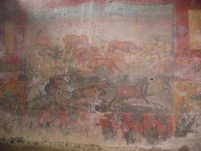 Frescoes preserved in Pompei Villa