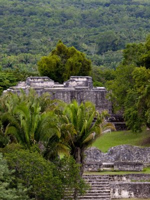 L113 Palace A11 at Xunantunich