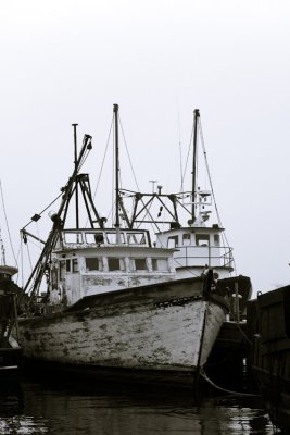 Old and New