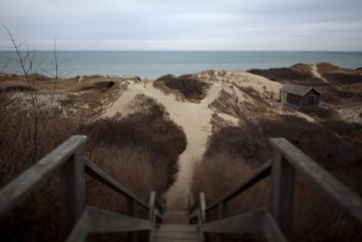 Steps Beach