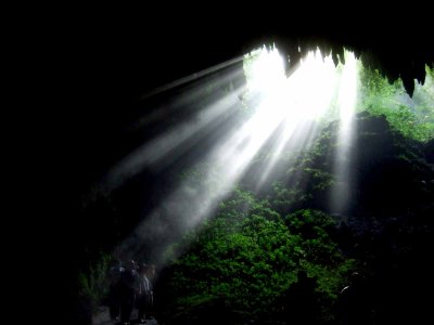 Rio Camuy Caverns