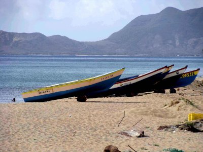 Nevis