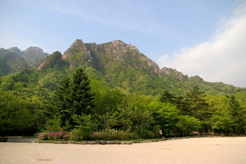 Spring - Seoraksan