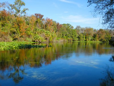 Wekiwa River
