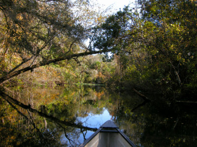 Wekiwa River