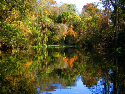 Wekiwa River