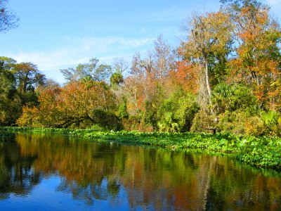 Wekiwa River