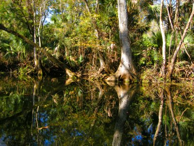 Wekiwa River