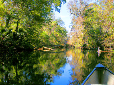 Wekiwa River