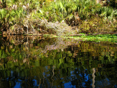 Wekiwa River