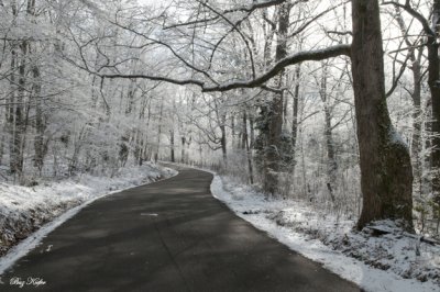 Covemont Rd. After Yesterday's Snowfall