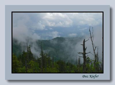Clouds on Clingmans Dome