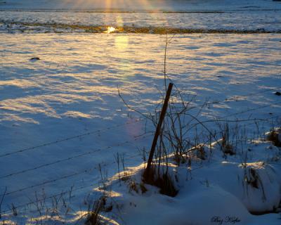 Sunlight on a Snow Covered Field