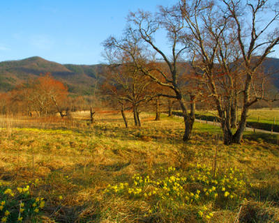 Early Spring in Cades Cove