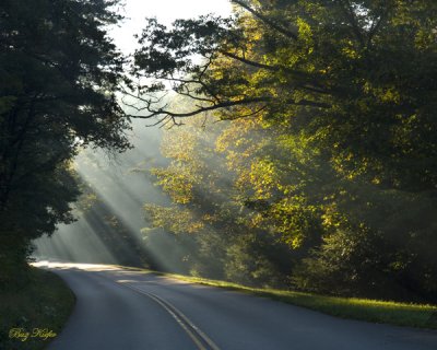 Morning Rays