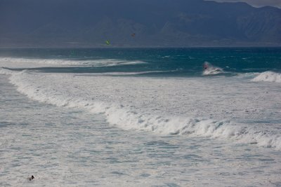 IMG_6150.jpg