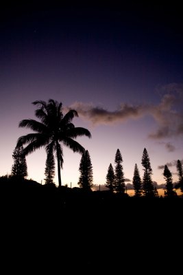 IMG_6183.jpg