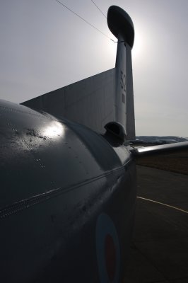 Nimrod2.jpg