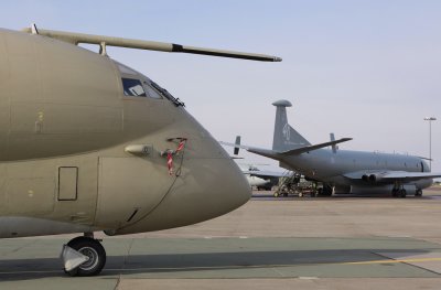 Nimrod7.jpg