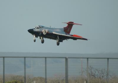 a Buc fence hopping