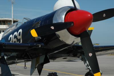 Sea Fury at Overberg