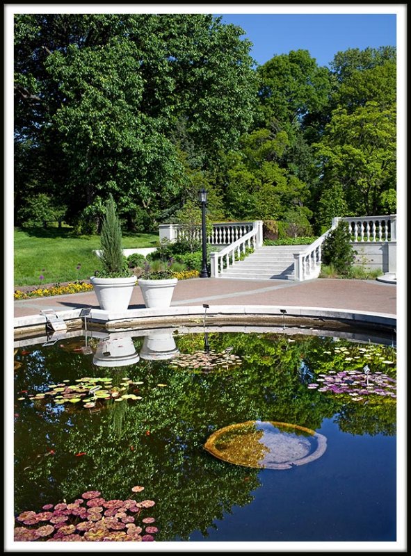 Early Morning Reflections at the Gardens