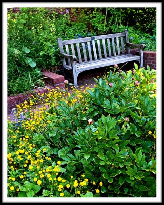 A Garden Bench Along An Obscured Path