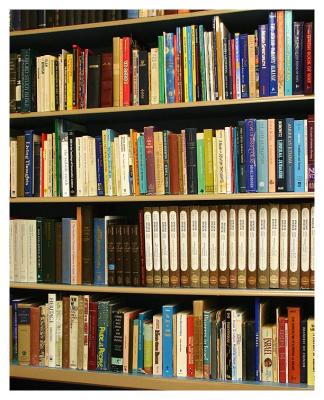 g3/42/521742/3/56172586.IMG_0746rabbis_library.jpg