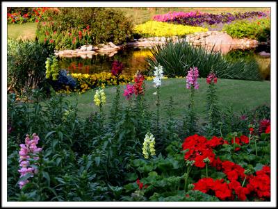 The Canadian Flower Garden from Near to Far