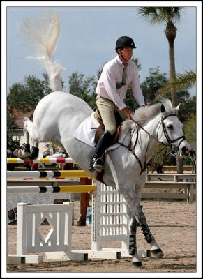 Classic Jumping Form at the Equestrian Show