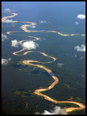 Tambopata