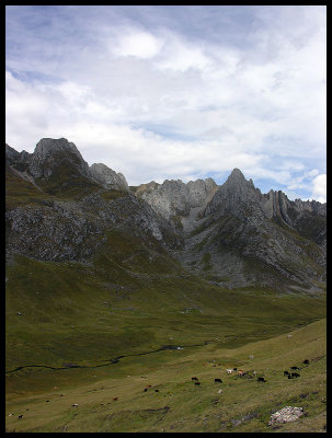 Cuncush valley 1