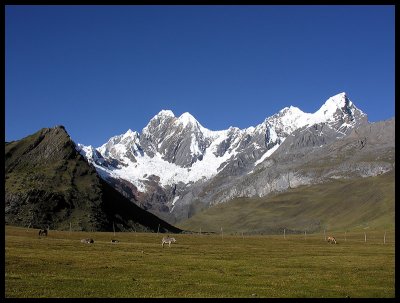 Morning at Janca