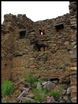 Pumallacta with Ollantaytambo perro