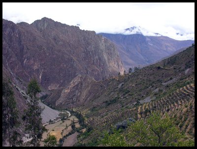 Ollantaytambo terraces