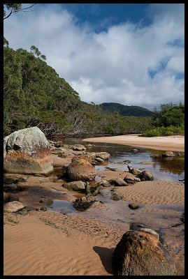 Sealers Creek at Sealers Cove