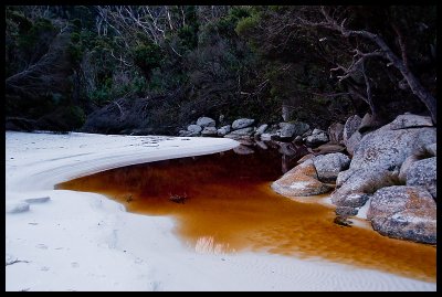 Creek at Little Waterloo Bay camping area