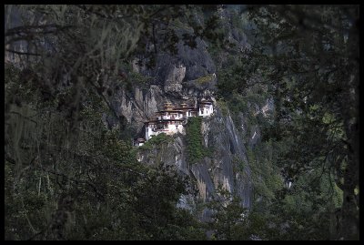 The tiger's nest through the trees