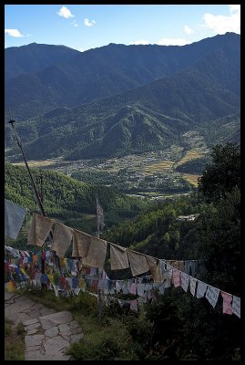 The view of Paro from the monastery track