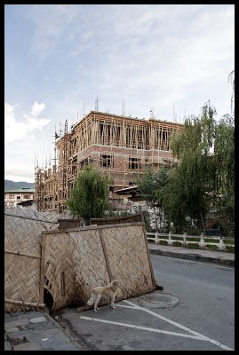 New construction in Thimphu 2