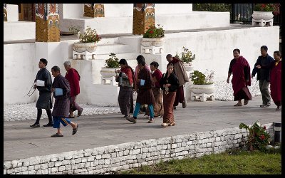 Morning prayers at the main stupa 2