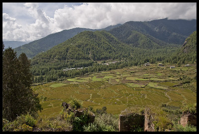 View from Drukgyel Dzong