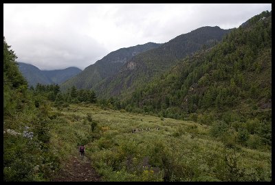 Trekking up the Paro Chhu valley