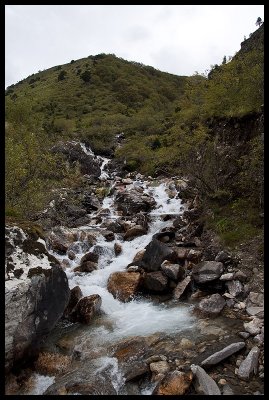 Small alpine stream