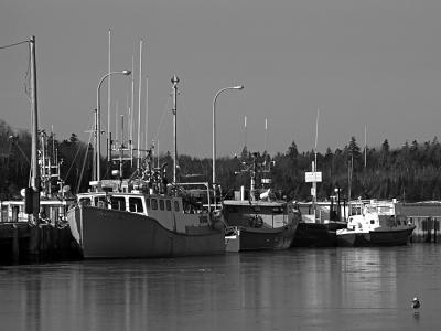 Fisherman's Cove,Eastern Passage