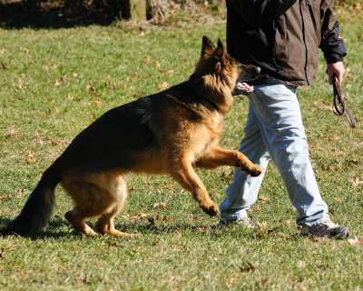 _DSC9354.jpg