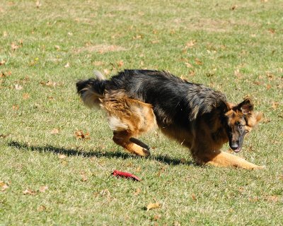 _DSC9413.jpg