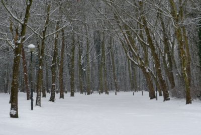 Vers le parc Malou.